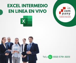 MICROSOFT EXCEL INTERMEDIO (VIRTUAL EN VIVO)